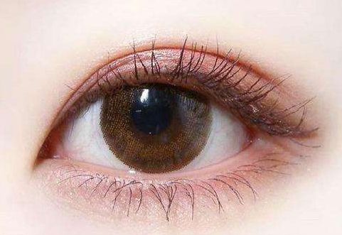 武漢協(xié)和馮曉玲的技能與服務，詳細介紹與案例解析