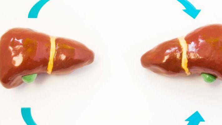 夏季瘦身攻略完美指南