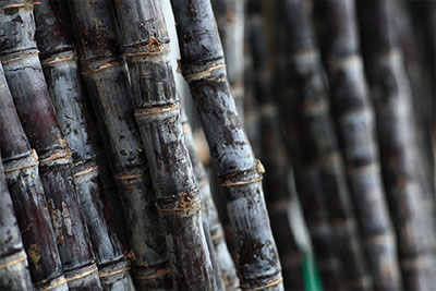 魔法般的冬季健美臂攻略！