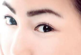 聯(lián)合麗格和華美，誰更受歡迎？關(guān)鍵優(yōu)勢(shì)、專家傾向、用戶評(píng)價(jià)完整比較！