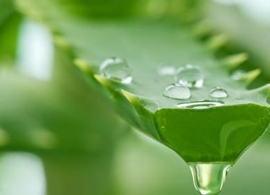 青島哪家美容醫(yī)院專業(yè)且口碑良好？