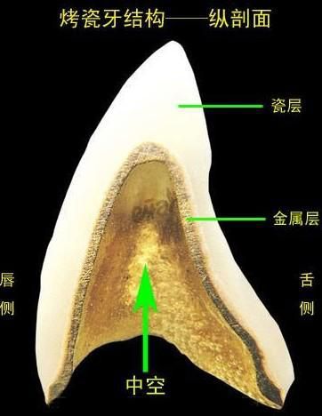 北京十家獨具特色的杯狀耳整形醫(yī)院口碑排行榜