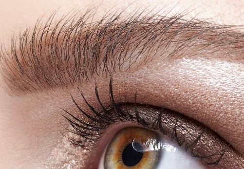 2023珠海小耳畸形治療排行榜出爐，專家推薦這十家整形美容醫(yī)院！