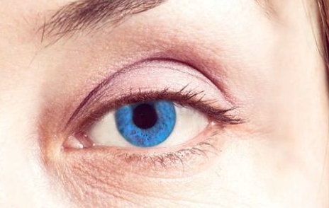 安吉麗娜朱莉為什么減肥成功？證據(jù)照片火速曝光！