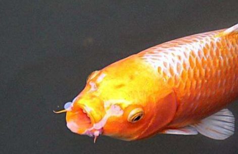 上海哪家醫(yī)院去痘坑效果好？