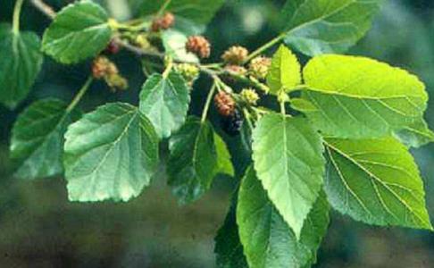 東莞綜合隆鼻技術(shù)醫(yī)院推薦！2023年評分前10家整形醫(yī)院揭曉！