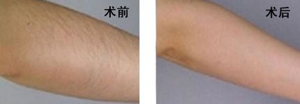 寧波完美塑美，2023年獨(dú)具醫(yī)術(shù)的整形專家詳細(xì)揭秘