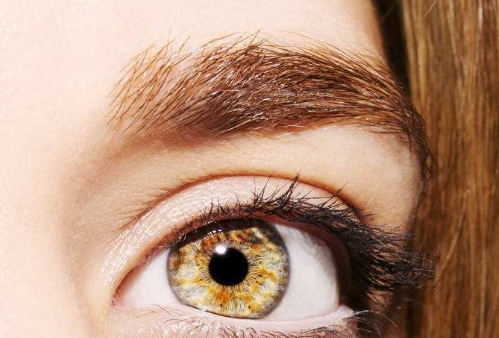 重慶同濟美容整形醫(yī)院的坐診醫(yī)生是否公開？有那些信息可以查到？