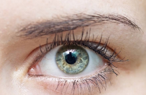 熱瑪吉果如何？有哪些注意事項呢？