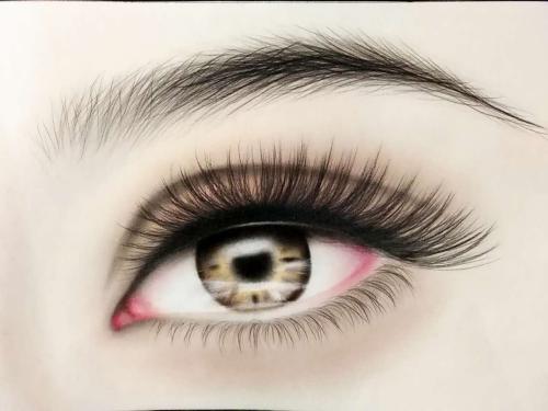 鼻小柱會改變鼻孔的大小嗎？鼻尖受到鼻小柱的影響嗎？