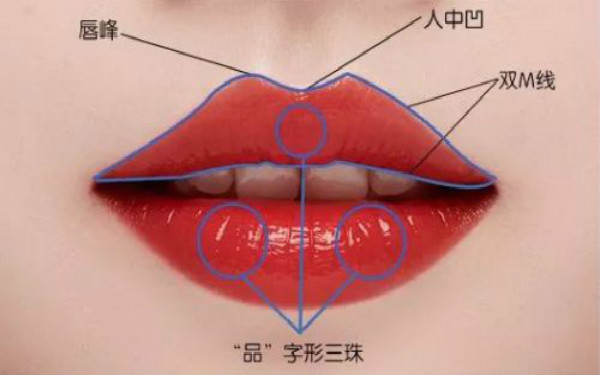 矯正駝峰鼻手術(shù)的費用是多少？該手術(shù)的詳細流程是什么？美人亦有凸鼻的情況嗎？