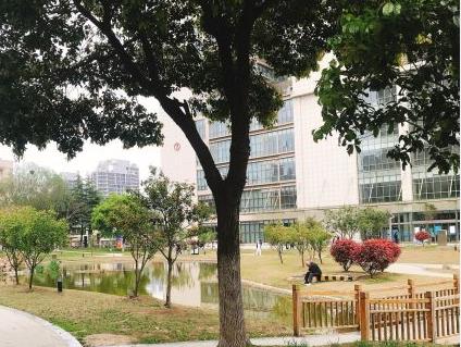 安徽醫(yī)科大學(xué)第二附屬醫(yī)院整形美容中心_院內(nèi)景區(qū)