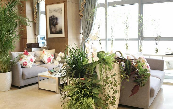 北京麗揚醫(yī)療美容診所_大廳