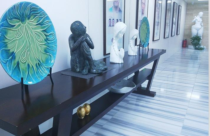 北京柳圣賢整形美容外科_藝術(shù)品陳列區(qū)