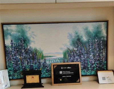 北京賽德陽光口腔門診部_醫(yī)院榮譽(yù).