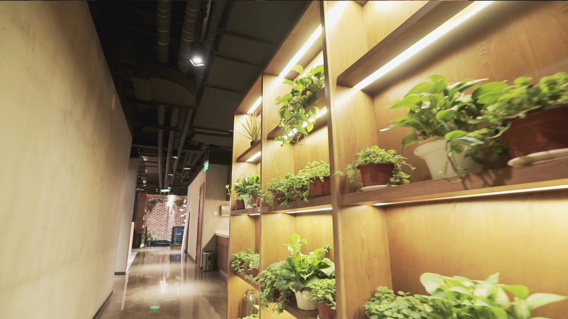 北京為爾醫(yī)療美容診所_走廊