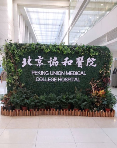 北京協(xié)和醫(yī)院整形外科_醫(yī)院logo墻