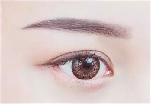 北京熊貓針填充下頦價(jià)格