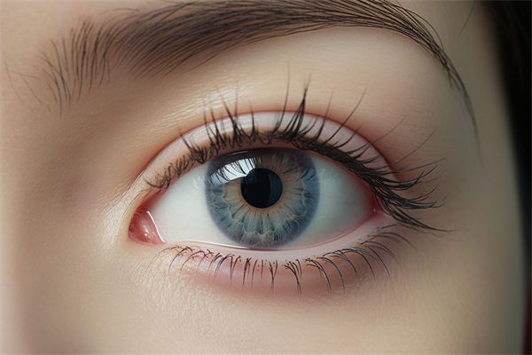 上海九院眼整形修復(fù)口碑怎么樣？醫(yī)院特色與收費標(biāo)準(zhǔn)詳解